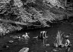 Summery Siblings by Lori Abrams