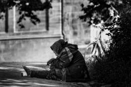 Romani Morning by Doug Testa