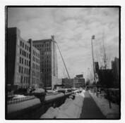 Crane & Snow by Dylan Smith