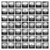 Forty Nine Posts by Tom Ferris