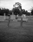 Crosses by Brian Dolzani