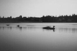 Tjörnin by SameSource