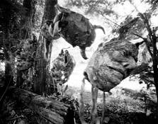 Chekhov Masks by Stewart Lewis