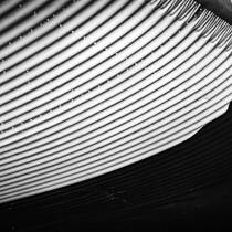Corrugation Chantilly