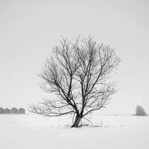 Prairie Winter
