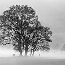 Cades Cove