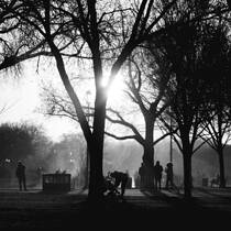 Evening on the Mall