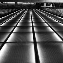 Path Forward