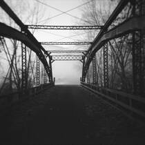 Into the Fog