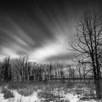 Wooded Prairie in Winter