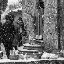 Blessing of the Animals