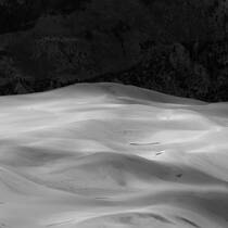 Dunes in Late Afternoon
