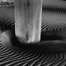 Ocean City Sand Waves