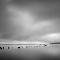 Tramp Harbor Pilings