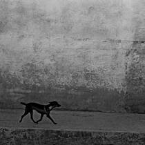 Untitled 4