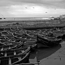 Harbour