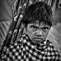 Sugar Cane Boy