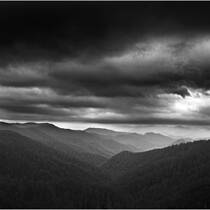 Untitled 4