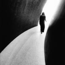 Into the Light