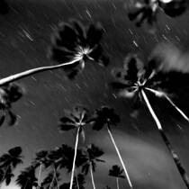 Night in Praia Do Forte