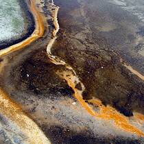 Yellowstone 72