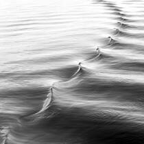 Wake