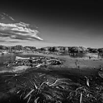 Magical Mystery Path