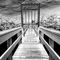 The Door