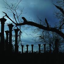 Windsor Ruins