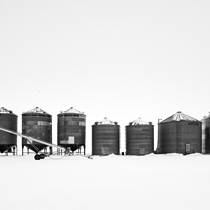 Grain Bins
