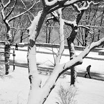 A Cold Day in Riverside Park