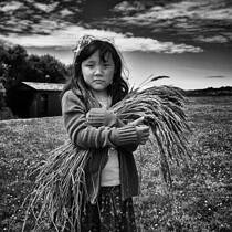 Wheat Girl