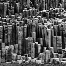 Organ Pipes