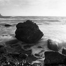 The Coast at Livorno