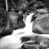 Nickel Creek