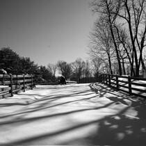 Farm