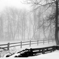 White Out