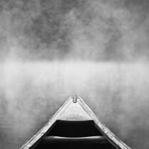 The Fog