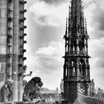 Sur Le Toit De Notre Dame