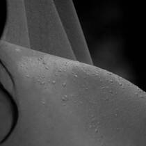 Rain Drops On