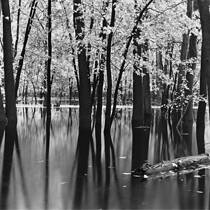 Fall Flood