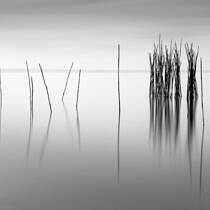 Fishing Poles