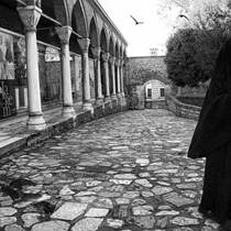 Woman With Ravens