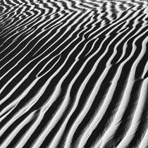 Zebra Sand