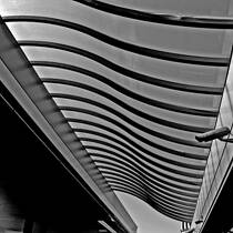 Store Canopy