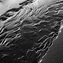 Wet Beach Sand