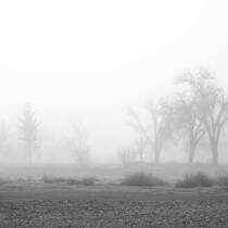 In a Fog