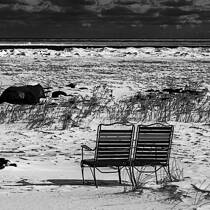 Awaiting Summer