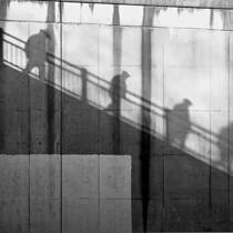 The Descent of Man