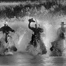 Horses Cross